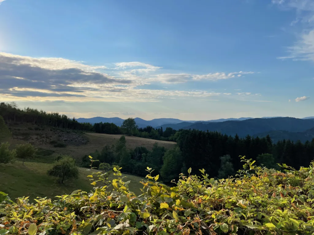 Die Aussicht vom Schornhof in Wolfach
